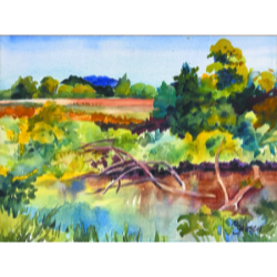 Between the Hills and the River